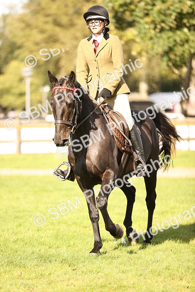 SBM_26388 - S6 - Novice & Newcomers Ridden Horse