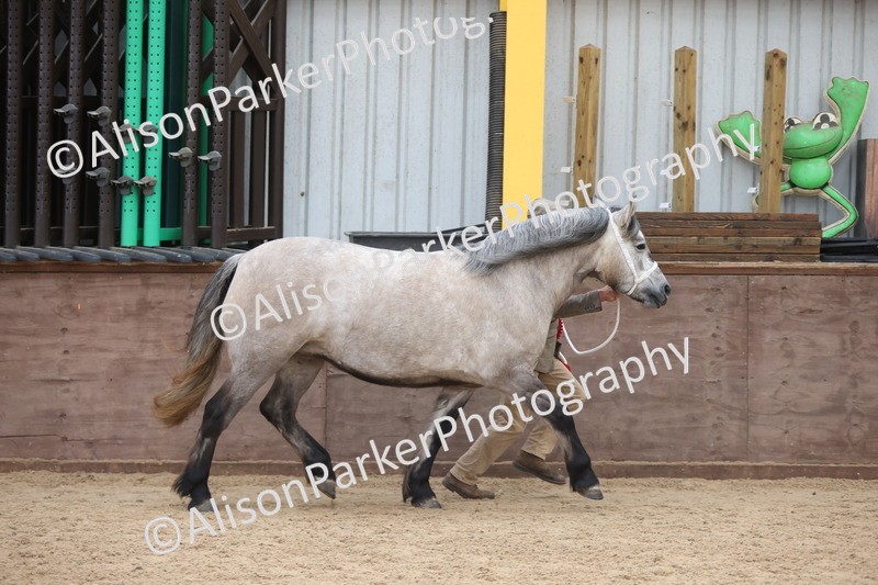 20251109-1136 - Championship