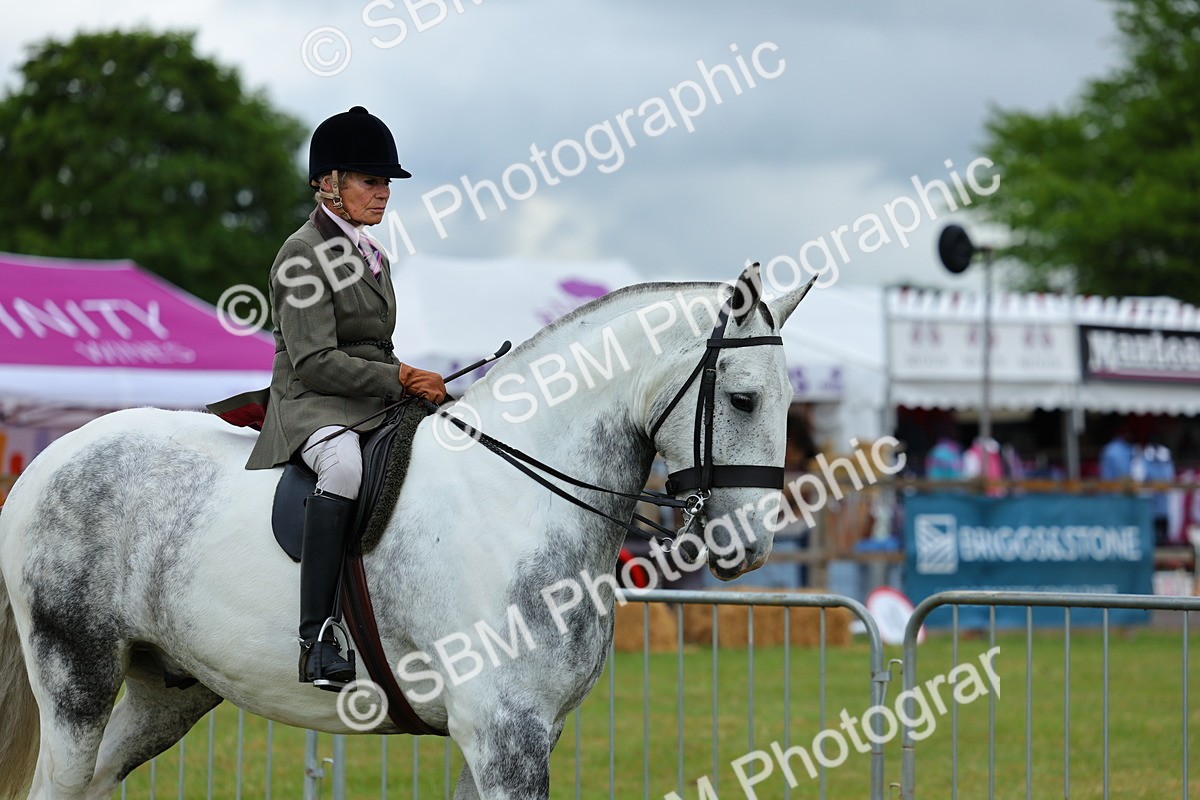 SBM_02470 - Class 9-11 Side Saddle including LIHS Rising Star Ladies Show Horse