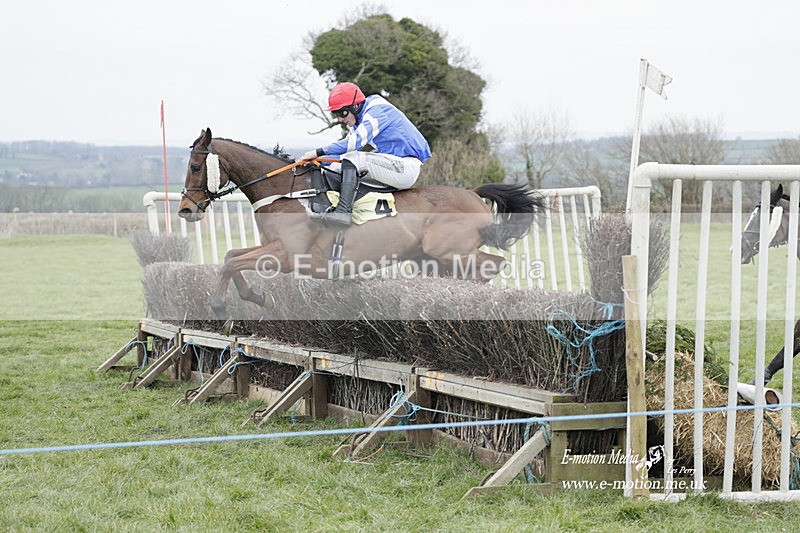 PtP 050323 485 - Blackmore & Sparkford Vale Hunt PtP - Somerset 05/03/23