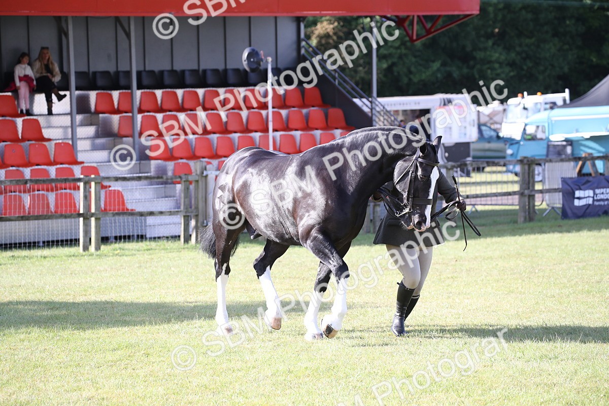 SBM_11115 - Class 92-93 - LIHS BSHA Rising Star Cobs