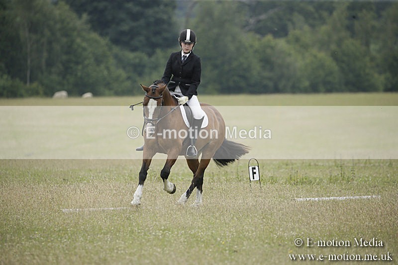 B230619-0675 - Bourne Valley Riding Club Summer Show 23/06/19