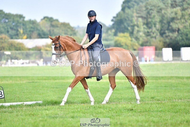 230817-093615-02607 - Abbie's 1st Group - Dressage