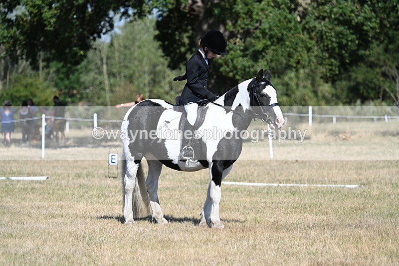 WJ7_9432 - Time 10:08 to 10:13