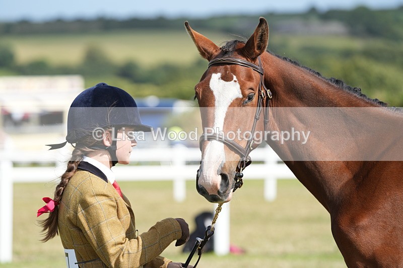 DSC07633 - Class 62: Child Handler