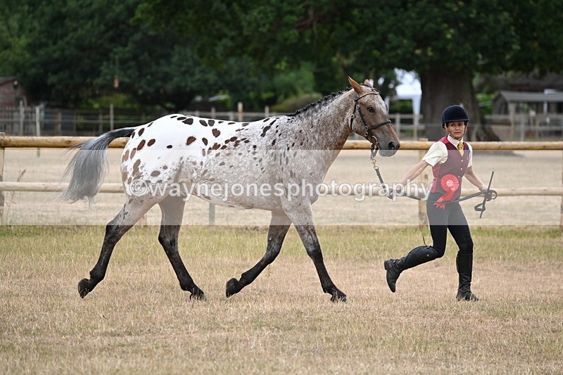 WJ6_8524 - Class 10 Coloured in Hand