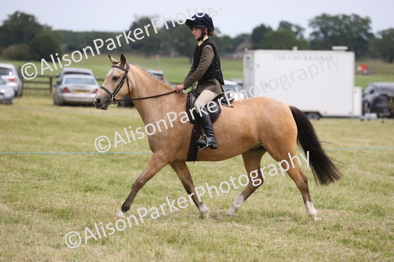 20260614-2972 - Class 22 - Open Working Hunter