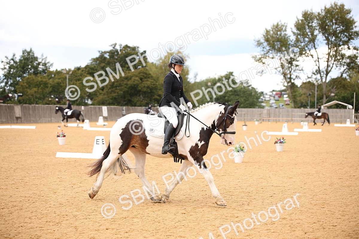 SBM_08970 - D8 Small Tour Championship Prelim 7