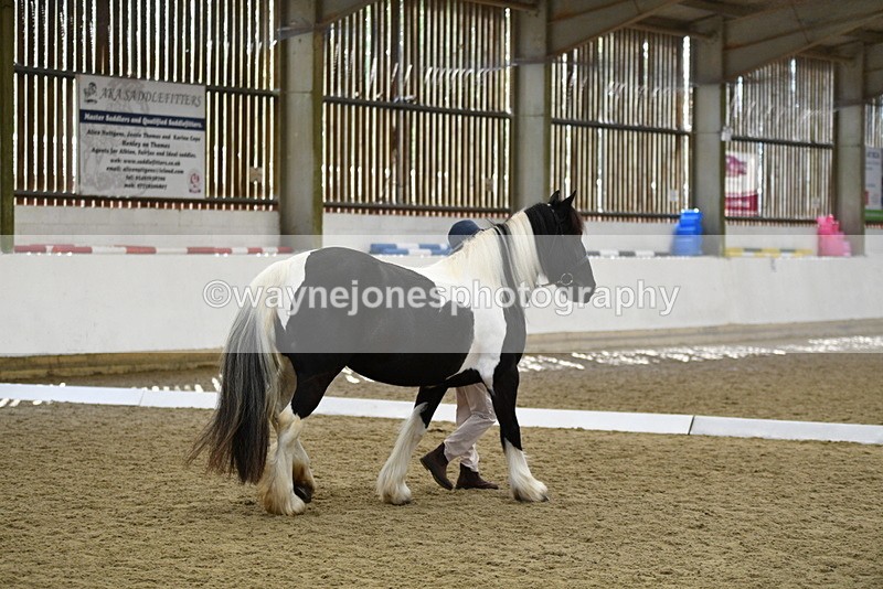 WJ5_4980 - Class 7 In hand coloured / odd coloured