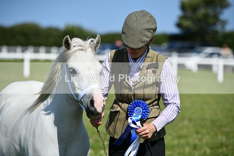 DSC_6498 - Class 53: NPS M&M 4 years and over Small Breeds