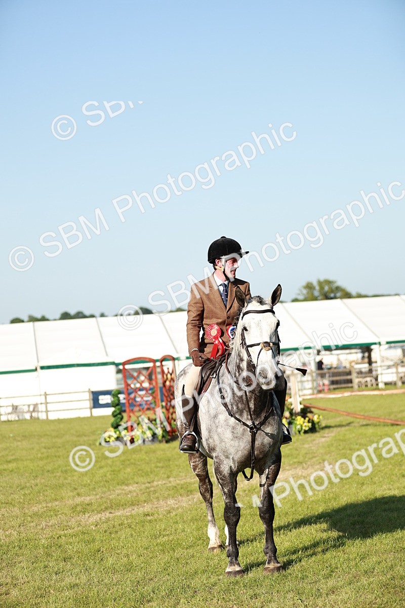SBM_20123 - Class 115-116 - LIHS BSHA Rising Star Working Hunter & Show Horse
