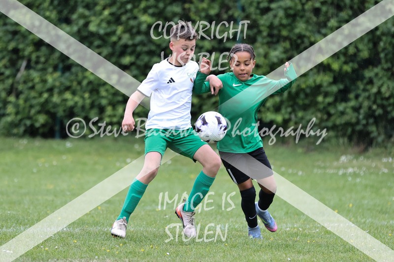 1DX32862 - The Croft V Tregoze