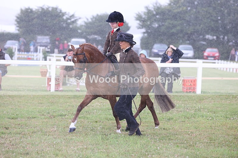 JPP_0373 - Class 14: Cornish Combination Leading Rein