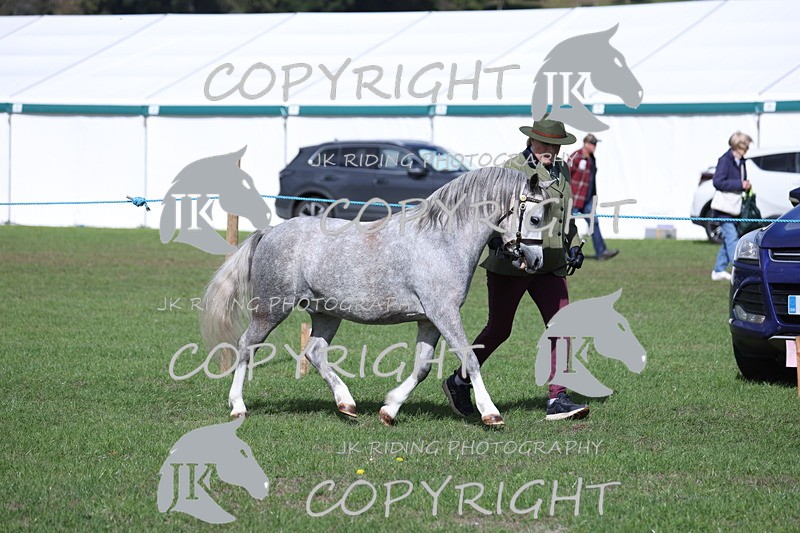 APP_2775 - Class 10a/b M&M in hand