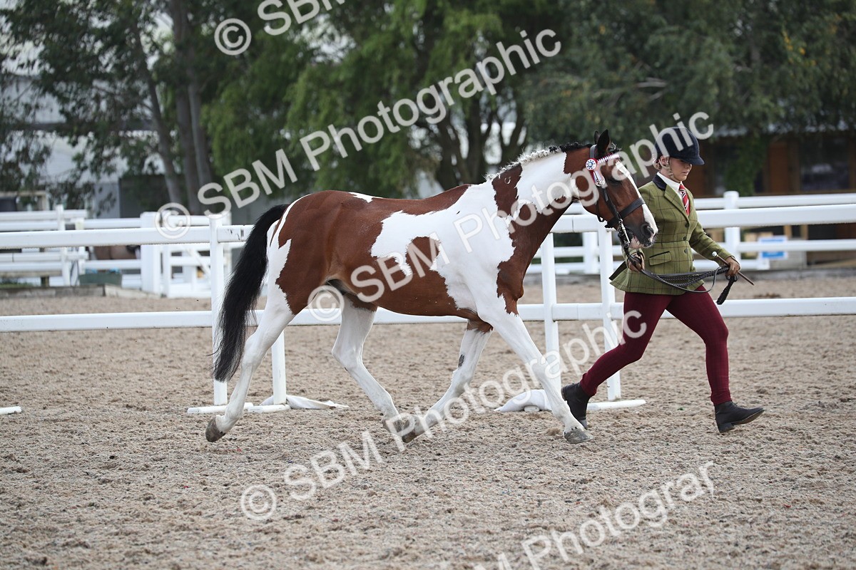 SBM_23096 - Class 605 - 2025 Area - IH Veteran