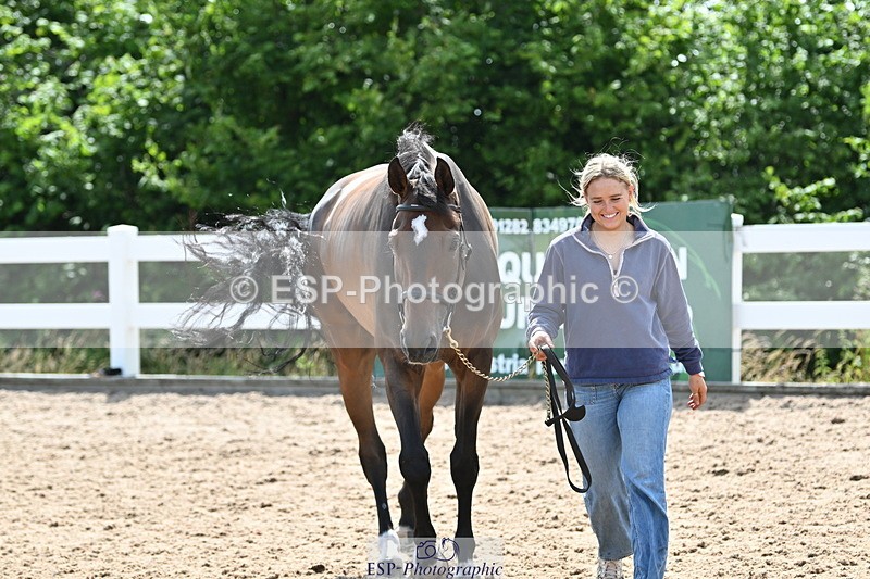 240717A-152636-02824 - Trot Up 3pm to 4pm