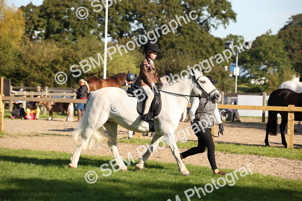 SBM_35730 - S9 - Lead Rein Equitation
