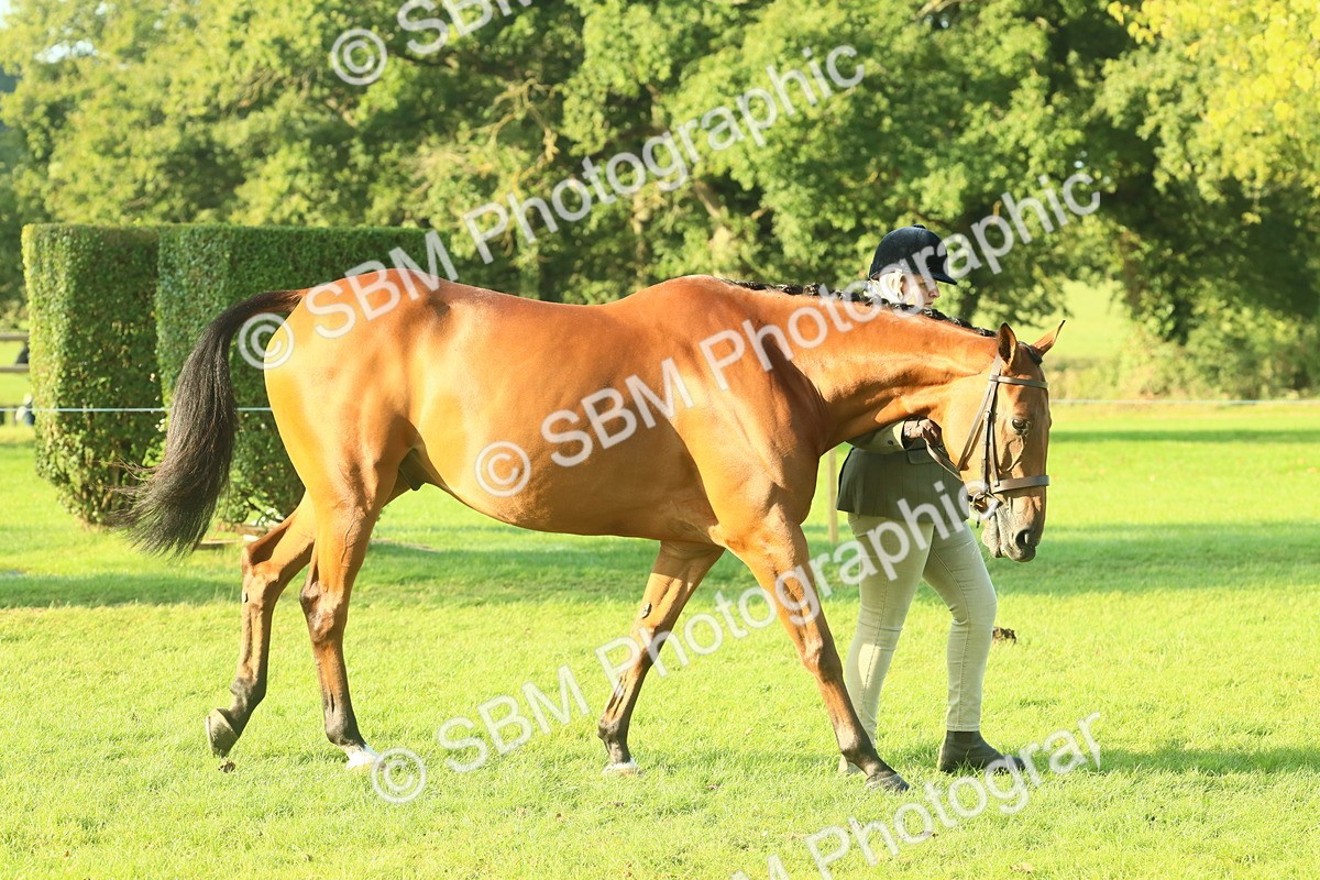 SBM_58526 - S37 - Starters In Hand Showing