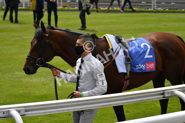 yr12052021r1-7 - Race 1 1.40pm Sky Bet Race to the Ebor Jorvik Stakes