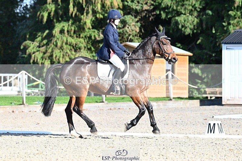 231110-132603-00941 - Cls 4 Novice 39Q