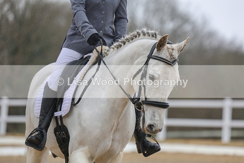 3E7A0864 - Class 4: Prelim 1 2024 Section B