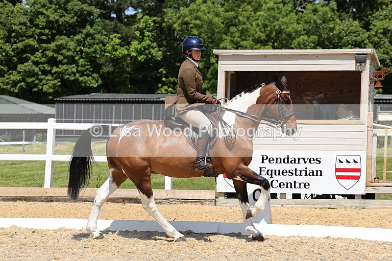 1X9A1845 - Class 12: Ridden Riding Horse/Hack