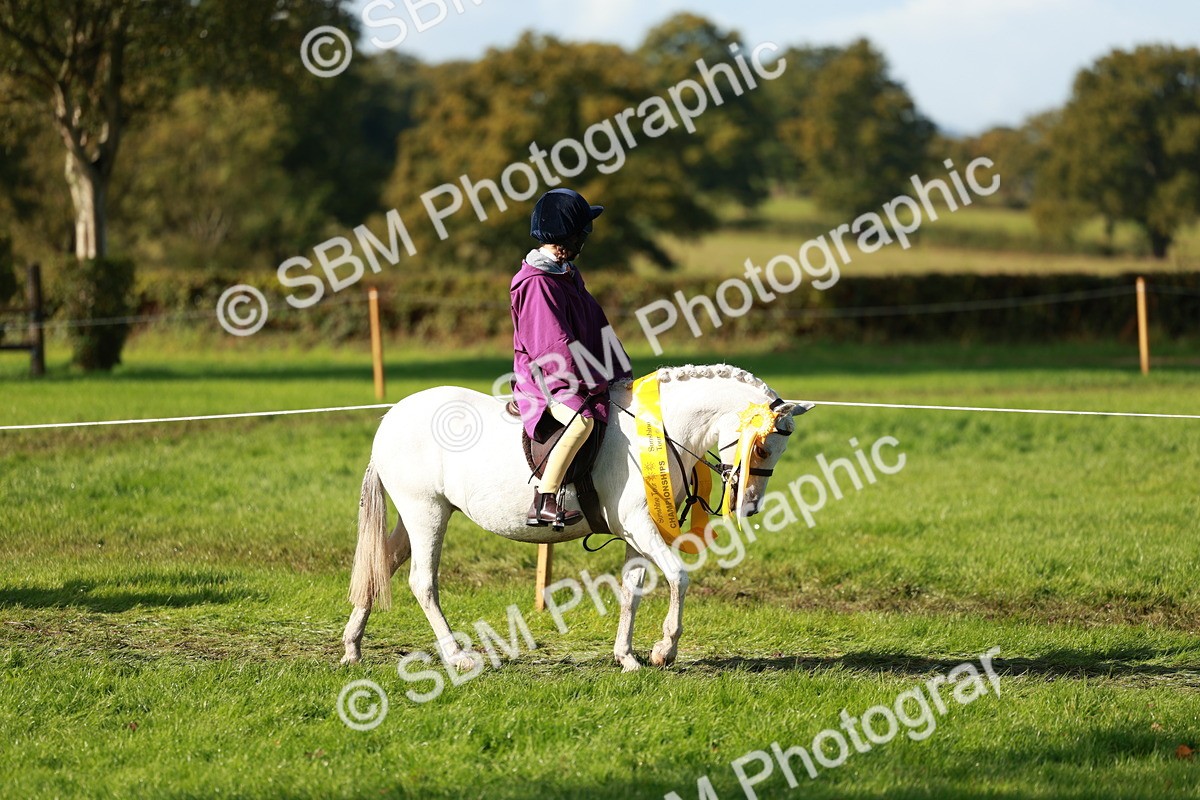 SBM_37078 - S11 - Best Ridden Horse & Pony