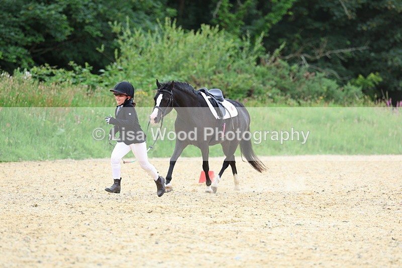 3E7A9476 - Walk trot run