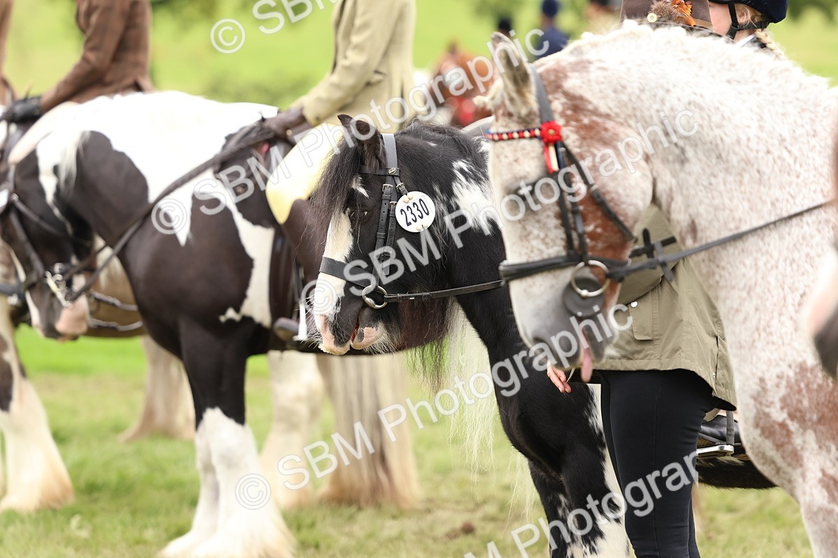 SBM_64521 - S58 - Coloured Pony Ridden
