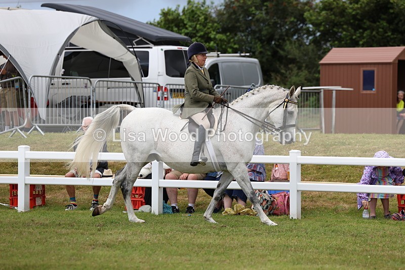 3E7A0904 - Class 8: Open Riding Horse/Hack