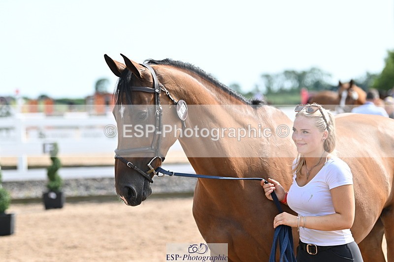 240717A-155513-03190 - Trot Up 3pm to 4pm