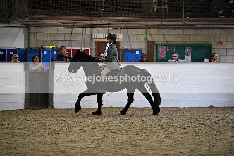 WJ5_7893 - Class 13 Ridden Part Breed