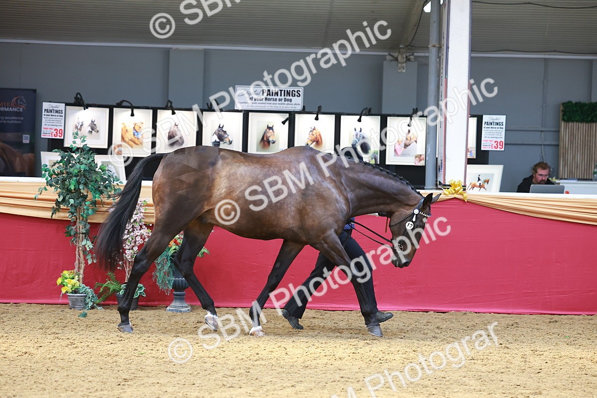 SBM_04182