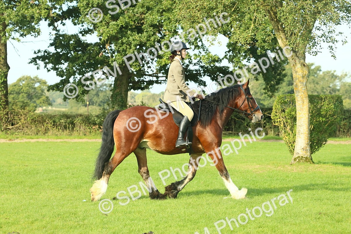 SBM_59827 - S38 - Starters Ridden Showing