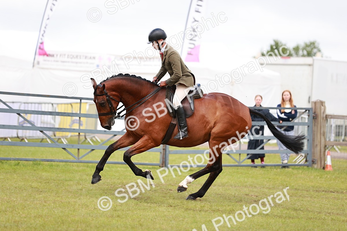 SBM_10791 - Class 81-84 - RIHS Ridden hunters Inc Ladies Hunter