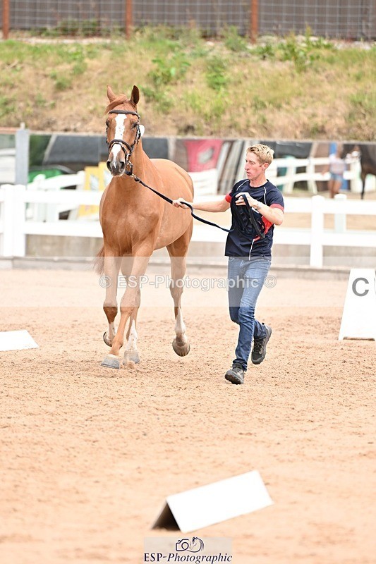 250716-144022-01284 - Trot Up 2.30 to 3.30