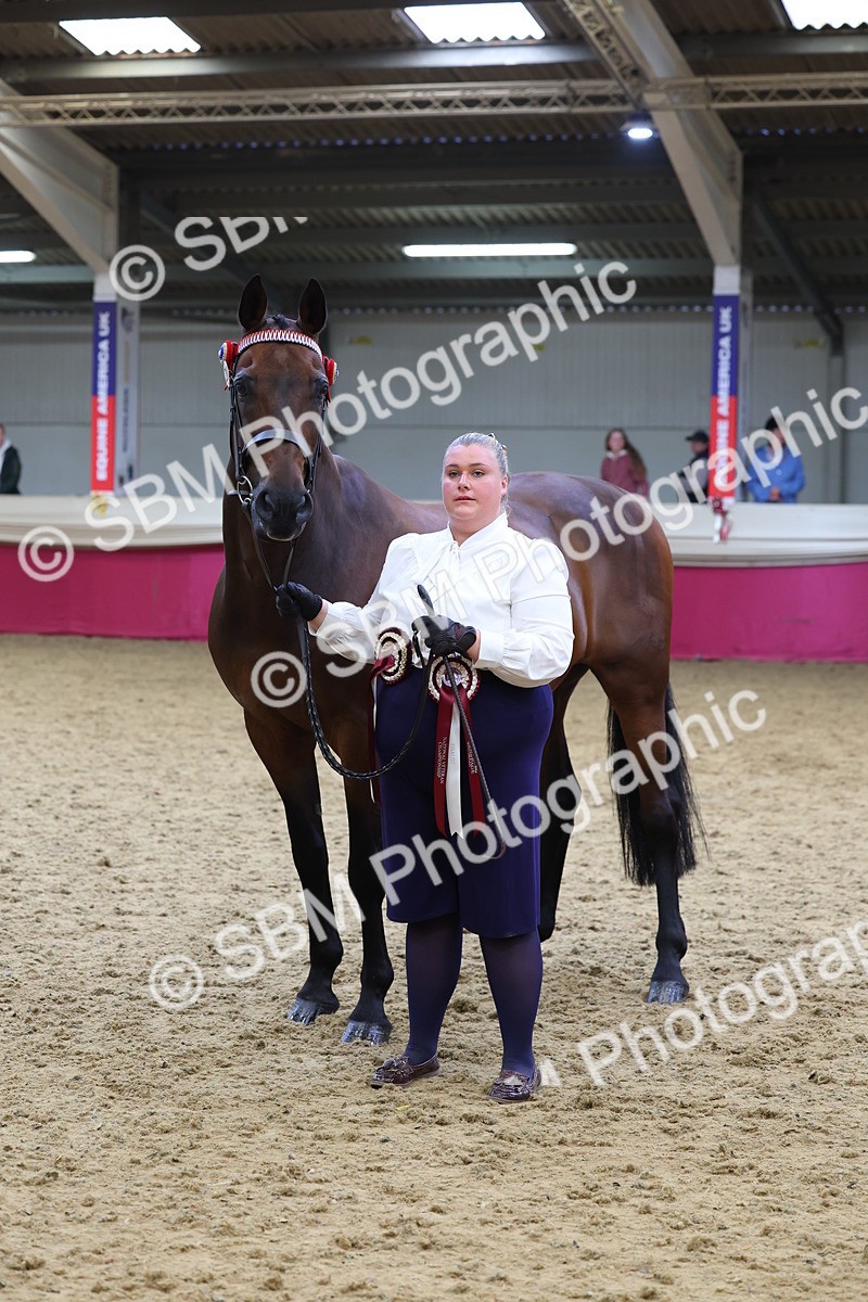 SBM_21201 - Class 902 - Supreme Final IH Veteran