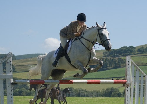 114 - Moniaive Horse Show 2008