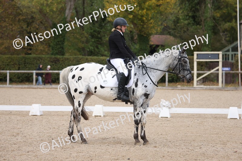 20261010-0716 - Class 6 - Novice 2
