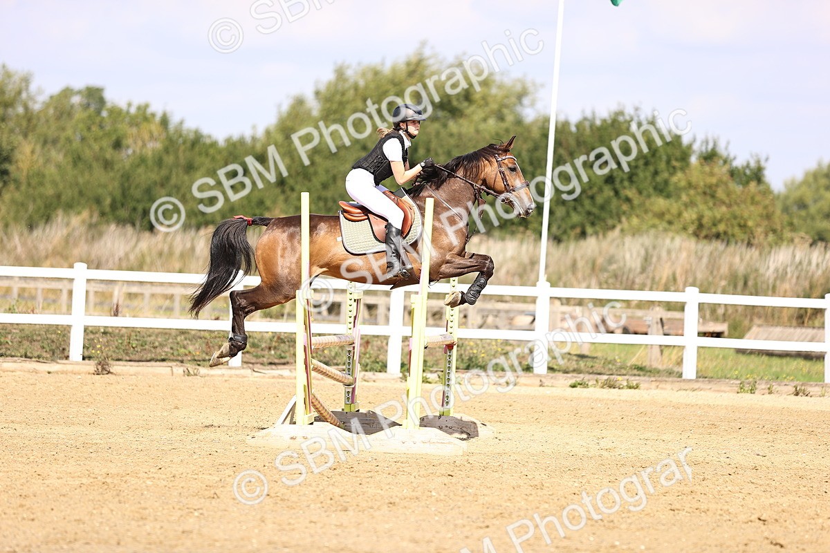 SBM_005944 - Class 9 - Senior British Novice - 90cm