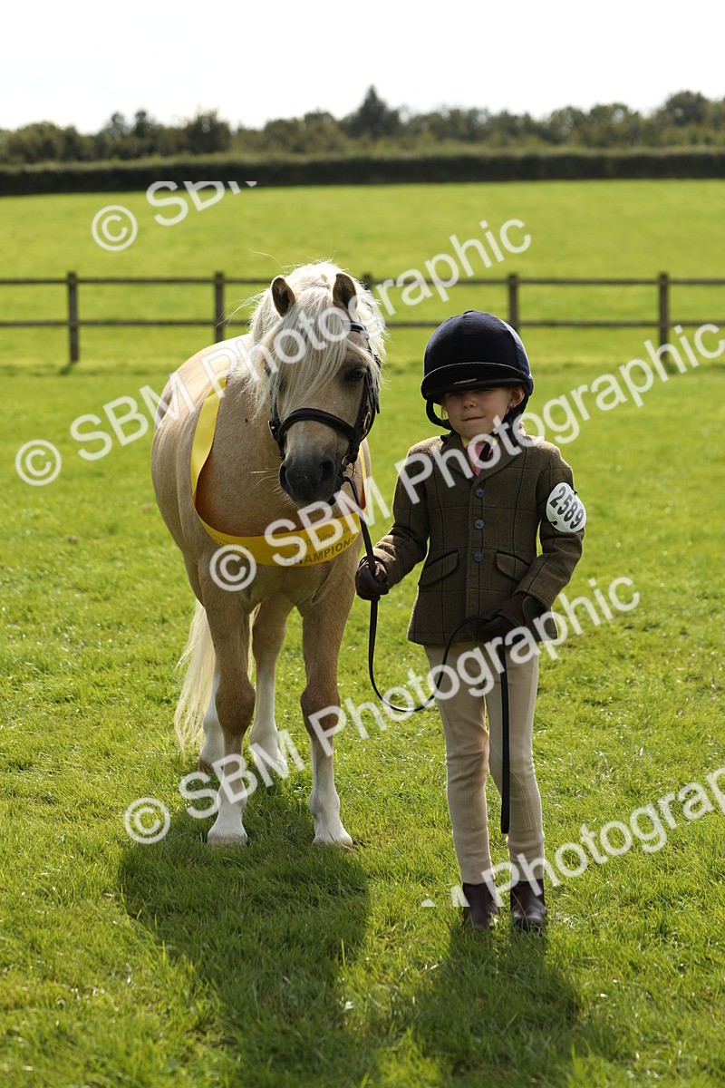 SBM_66324 - In Hand Pony & Youngstock Supreme Championship