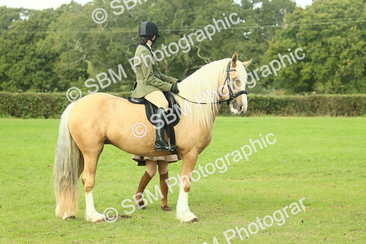 SBM_62635 - S63 - Other Coloured Horse Ridden