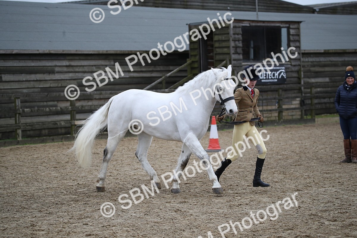 SBM_006210 - Class 10-13 - RIHS Small Large Breeds