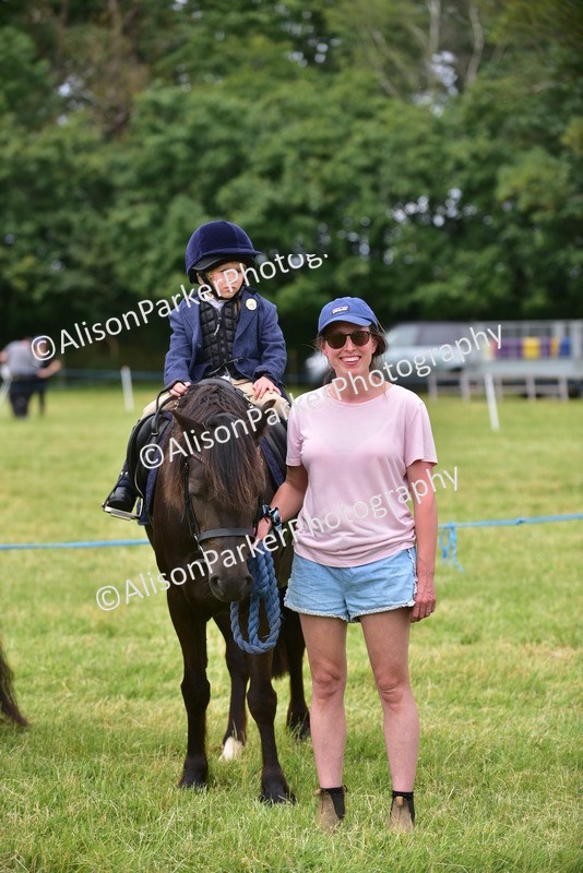 20260614-3712 - Class 15 - Prettiest Mare