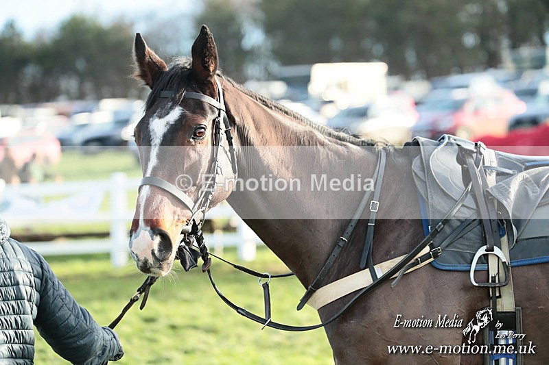 PtP 141225  1960 - New Forest Hounds PtP Larkhill 14/12/25