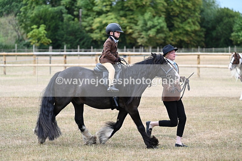 WJ7_6697 - Class 1 Lead Rein Pony