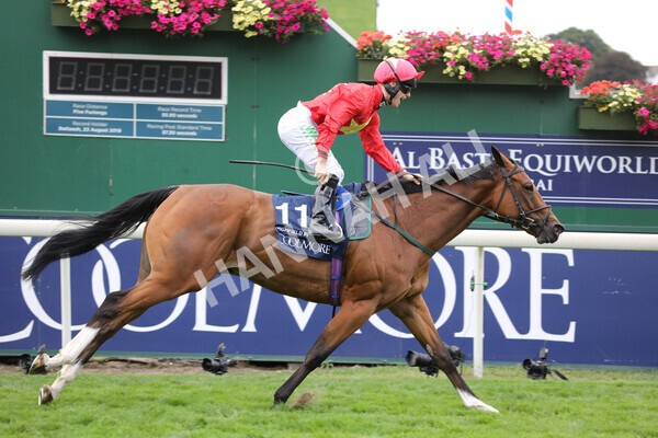 yr19082022r4-77 - Race 4 3.35pm Coolmore Wootton Bassett Nunthorpe Stakes (British Champion Series Race)