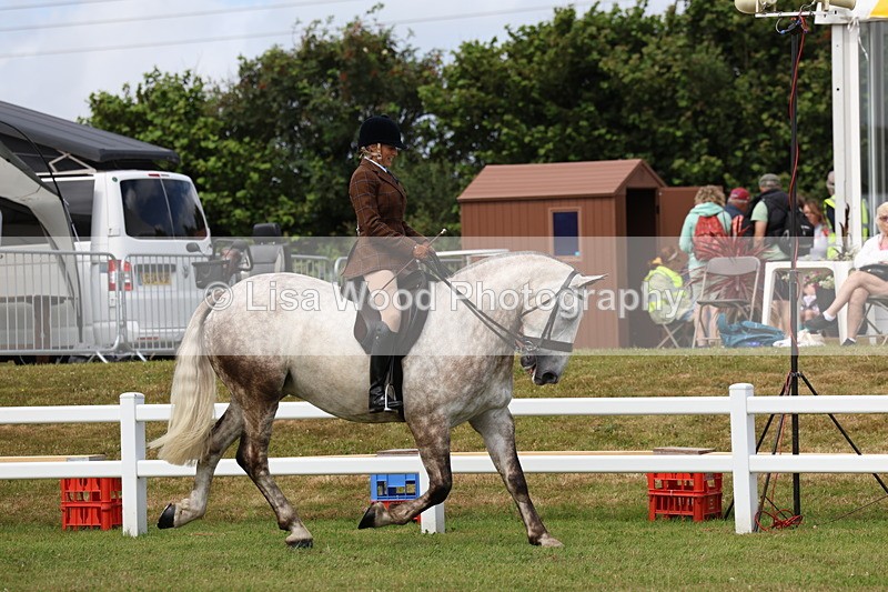 3E7A0263 - Class 6: Rising Star Maxi Cobs