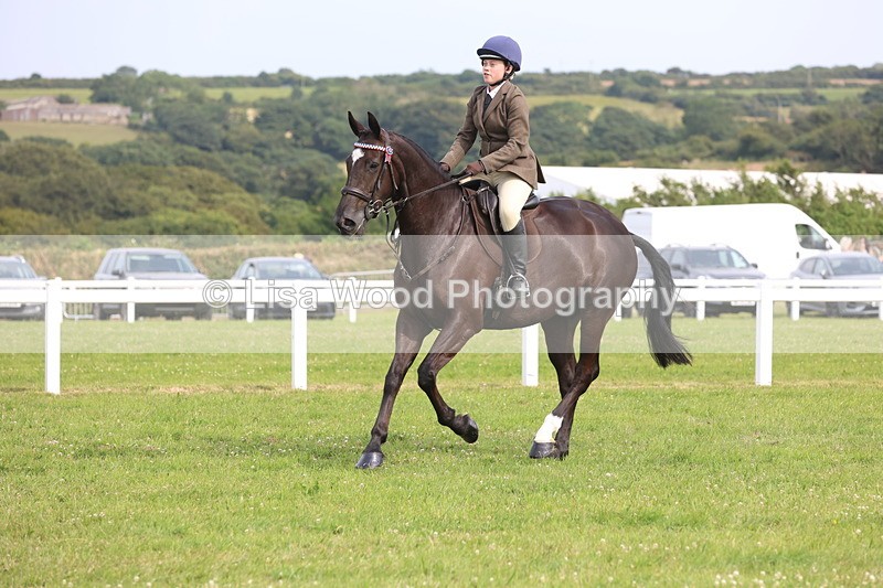 JPP_4215 - Class 25: Working Show Horse