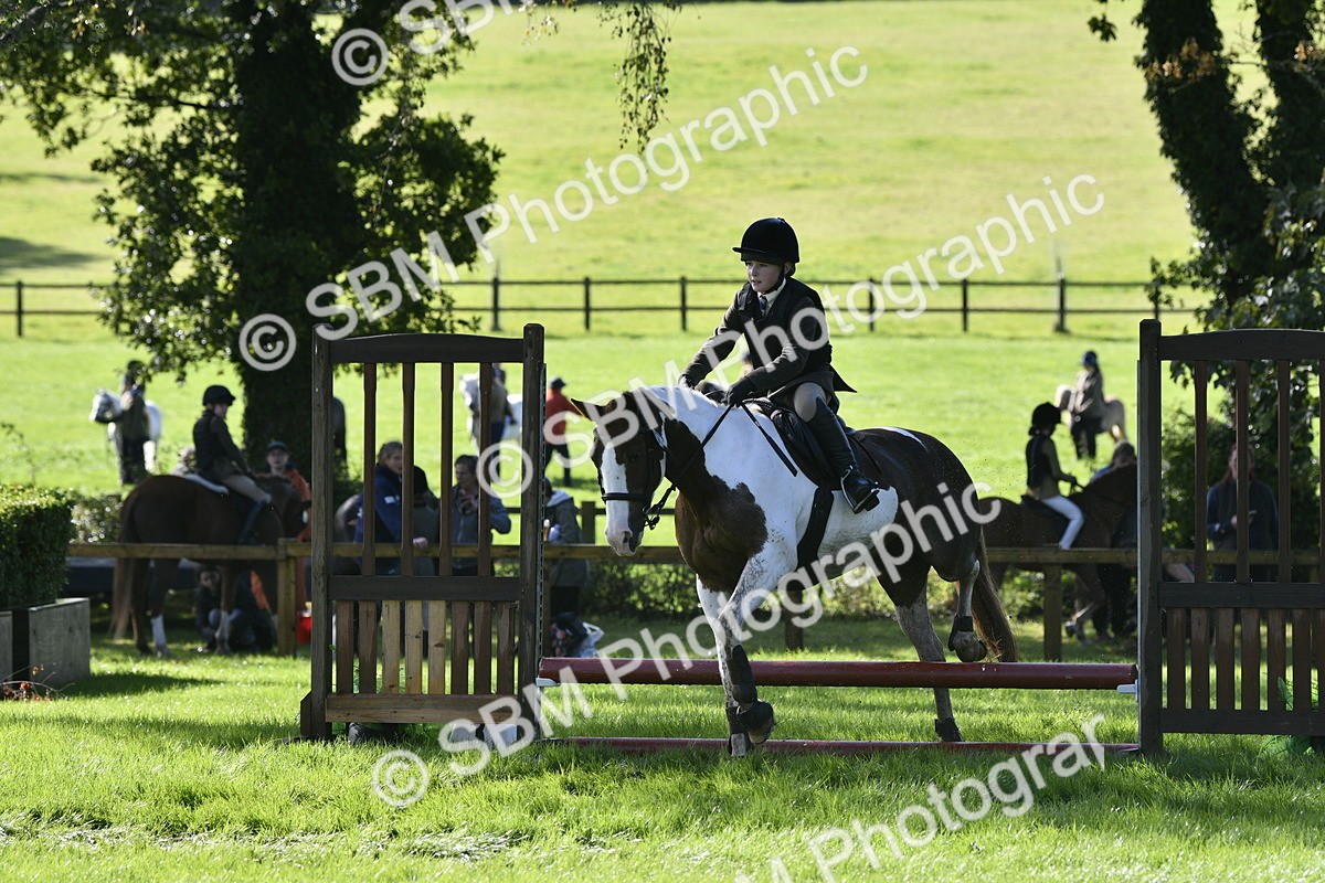 SBM_38181 - S31 - Novice & Newcomer Working Hunter Pony